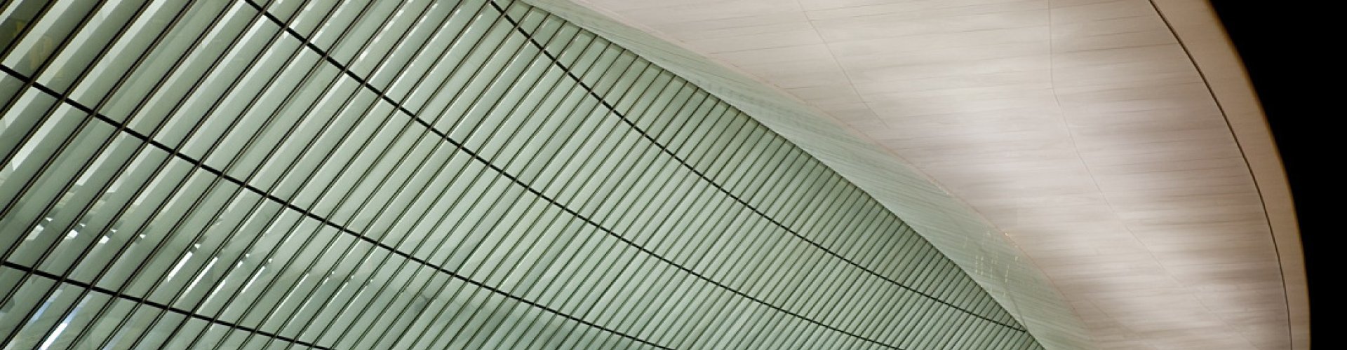 Family arrivals at Carrasco Intl Airport, UY Airport