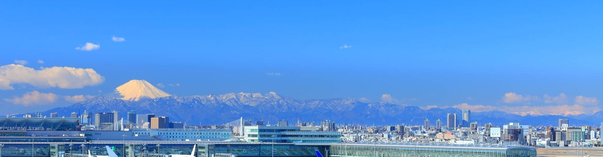 Family arrivals at Tokyo Haneda Airport, JP Airport